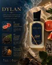 Load image into Gallery viewer, DYLAN
