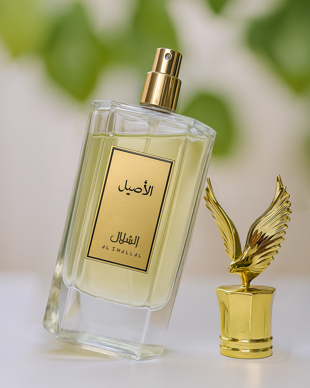 alasil - الاصيل